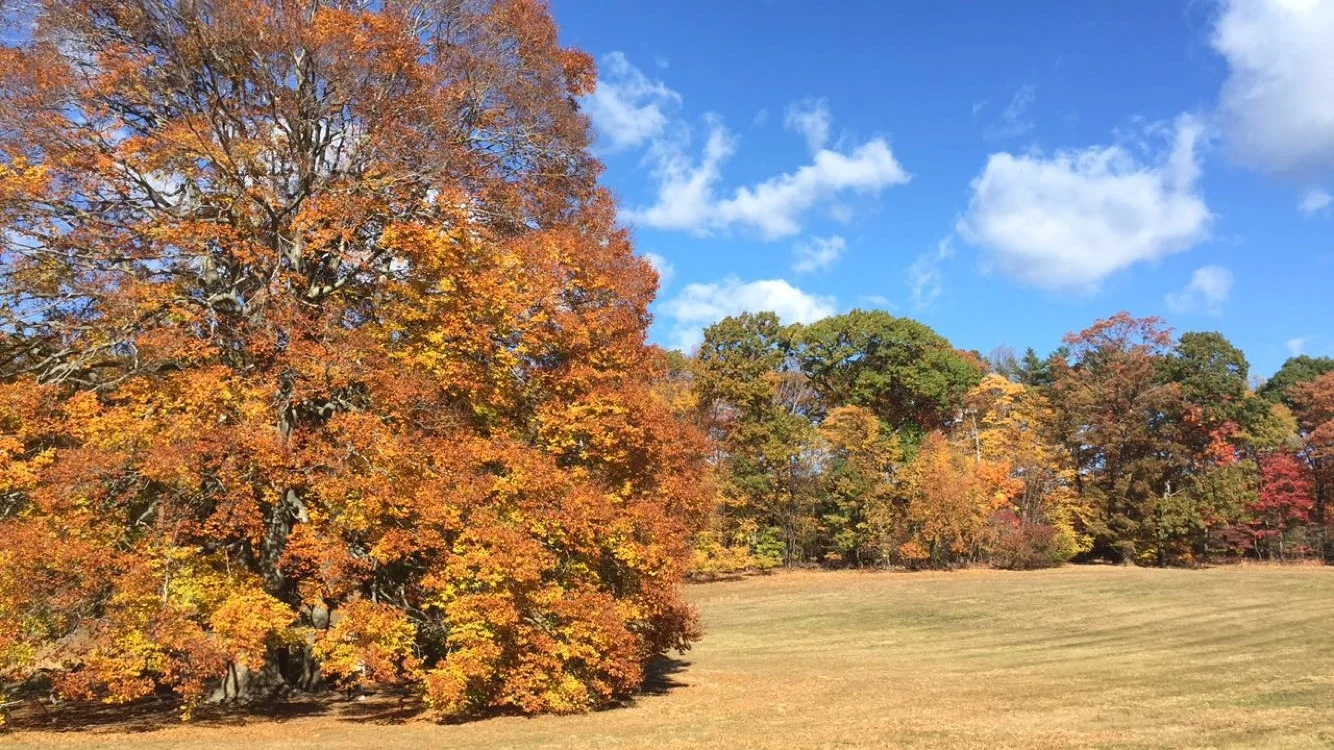                      Caumsette State Park