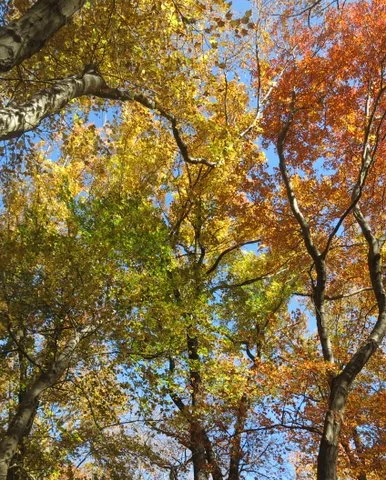 Kings Point Park