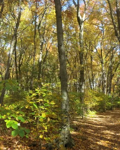 Kings Point Park