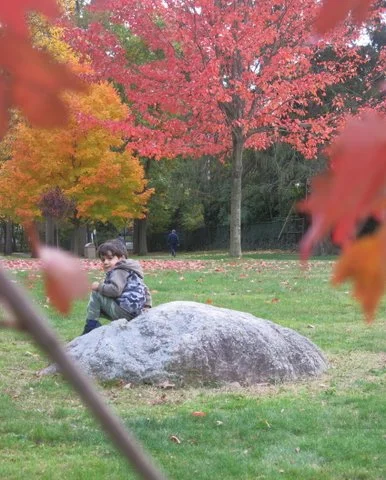 Allenwood Park