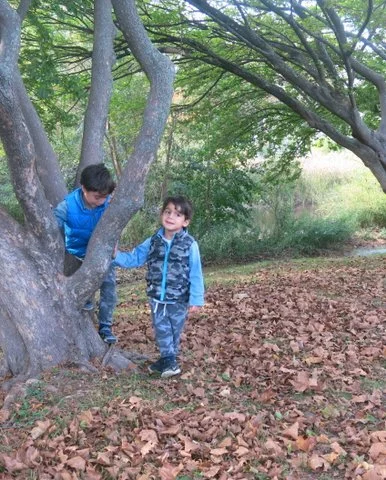 Manhasset Valley Park