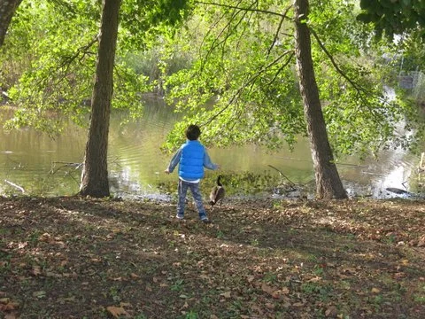 Manhasset Valley Park