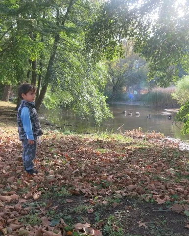 Manhasset Valley Park