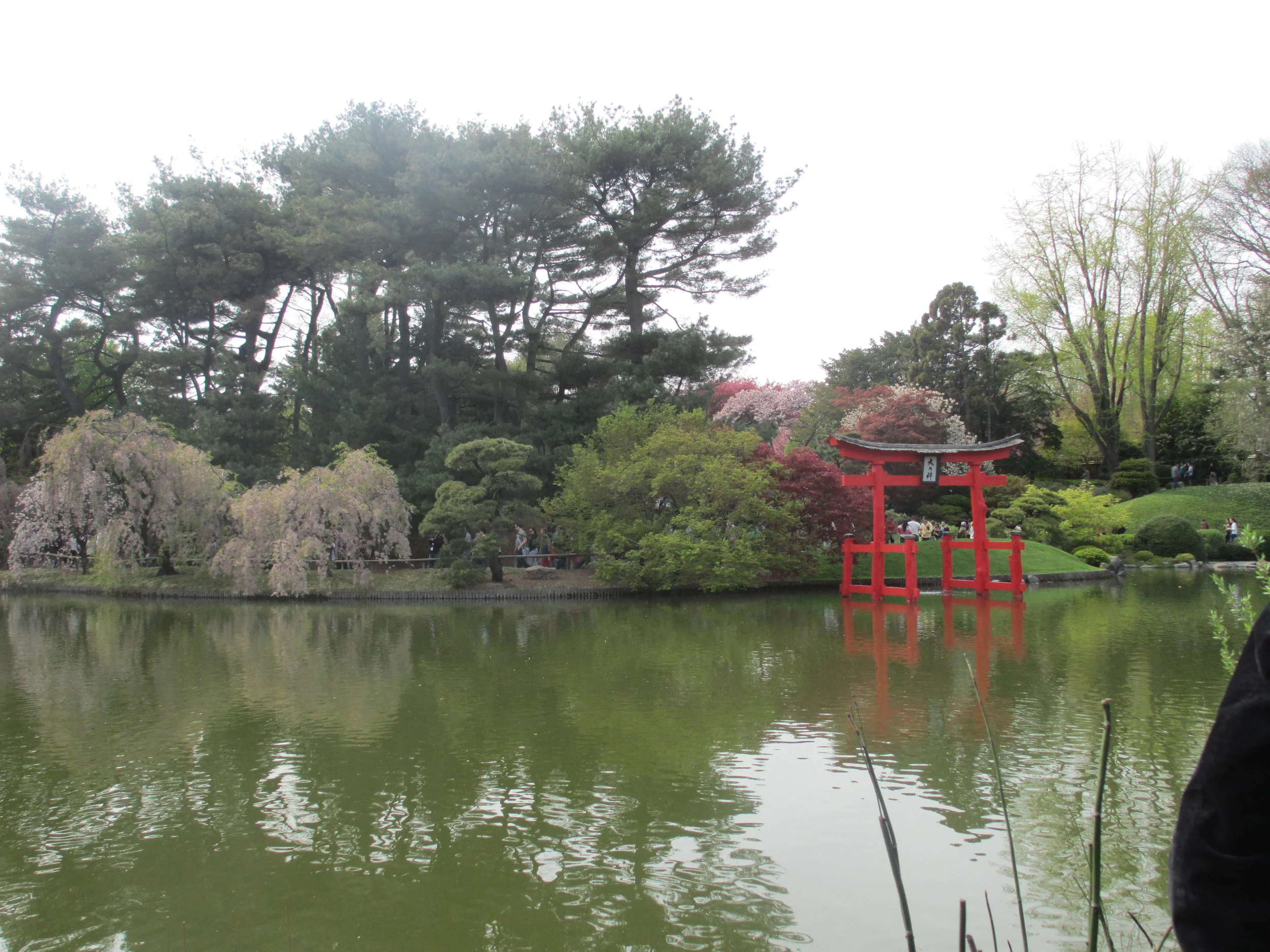 Brooklyn Botanical Garden