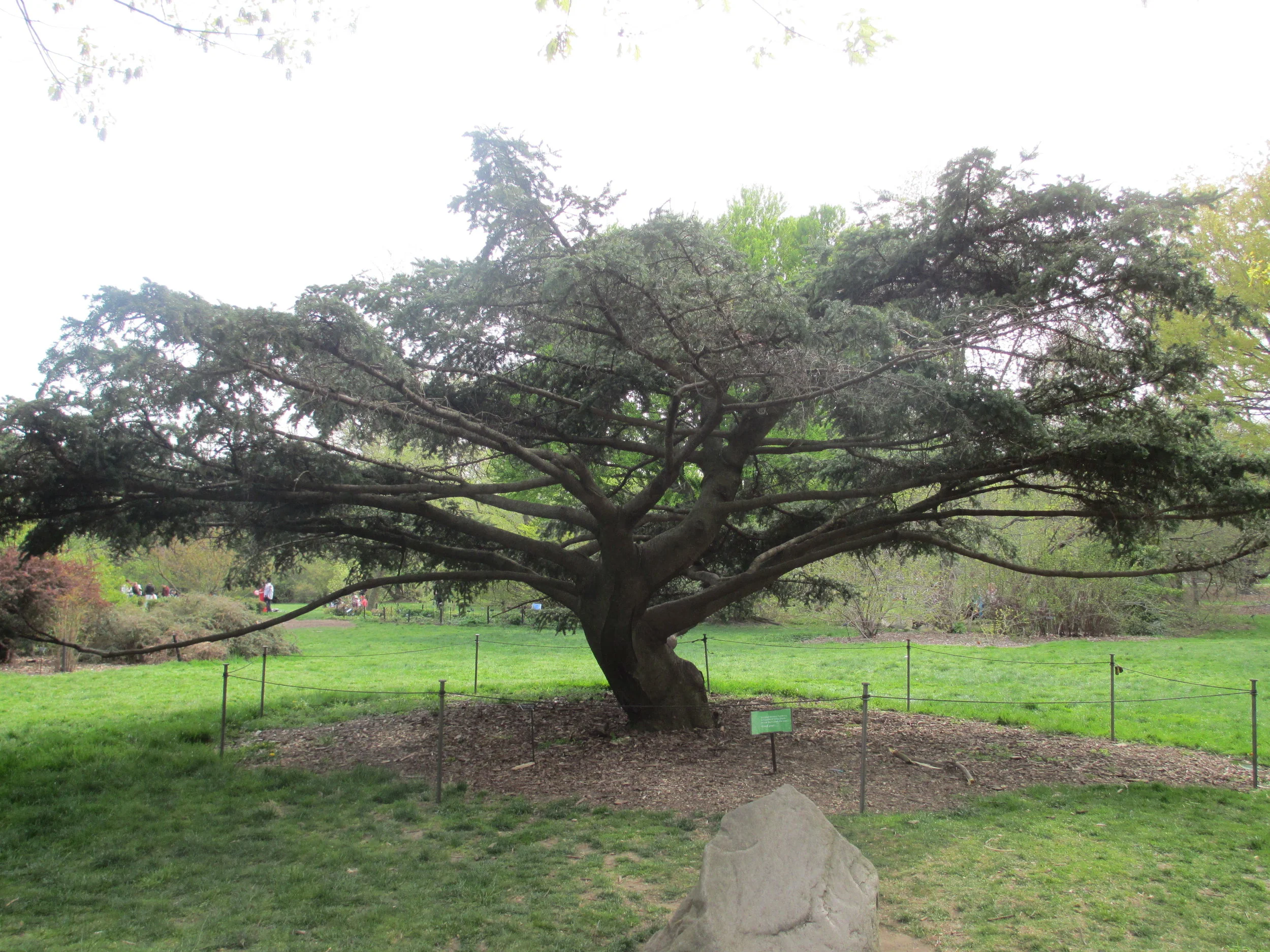 Brooklyn Botanical Garden