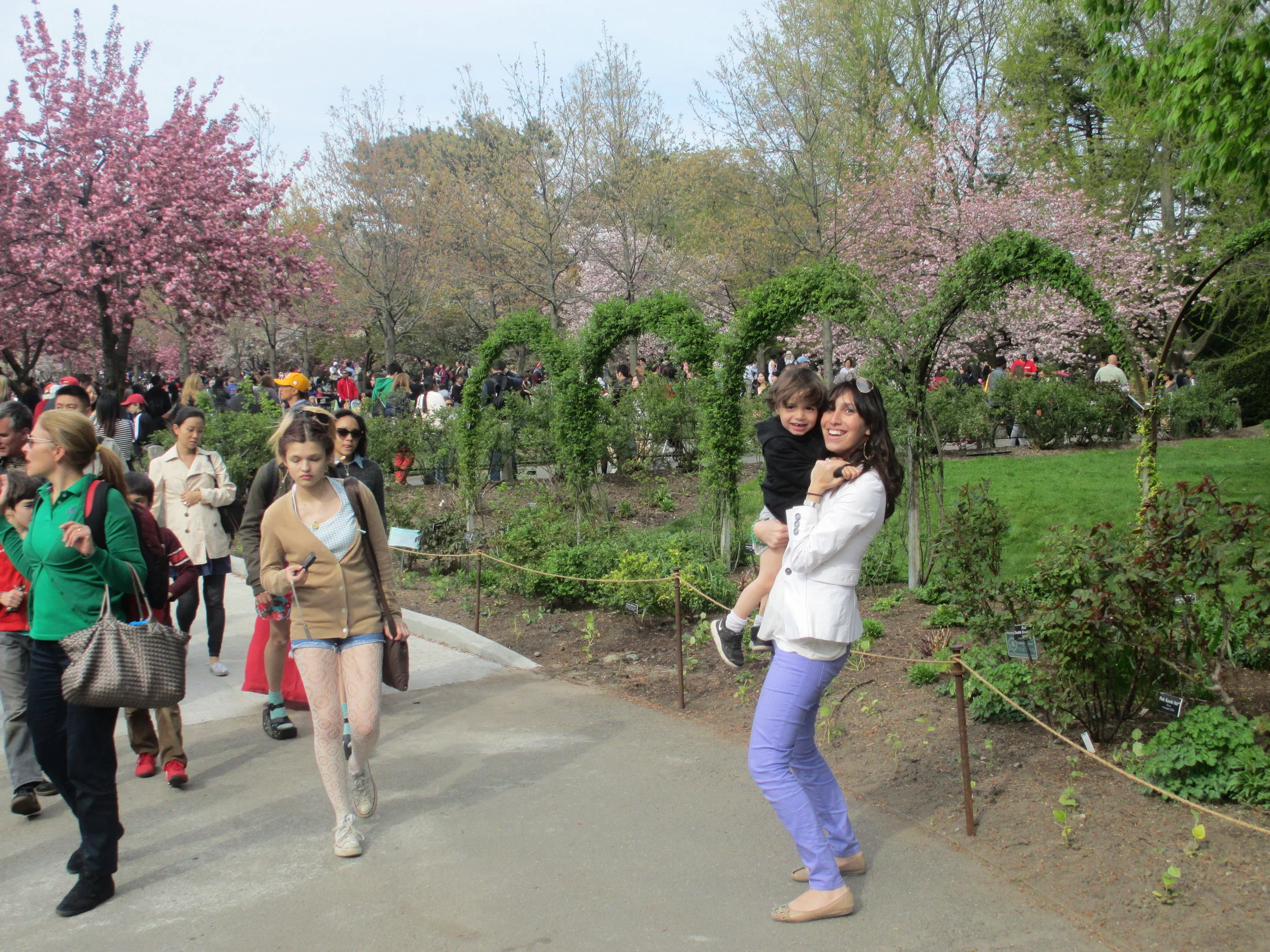 Brooklyn Botanical Garden