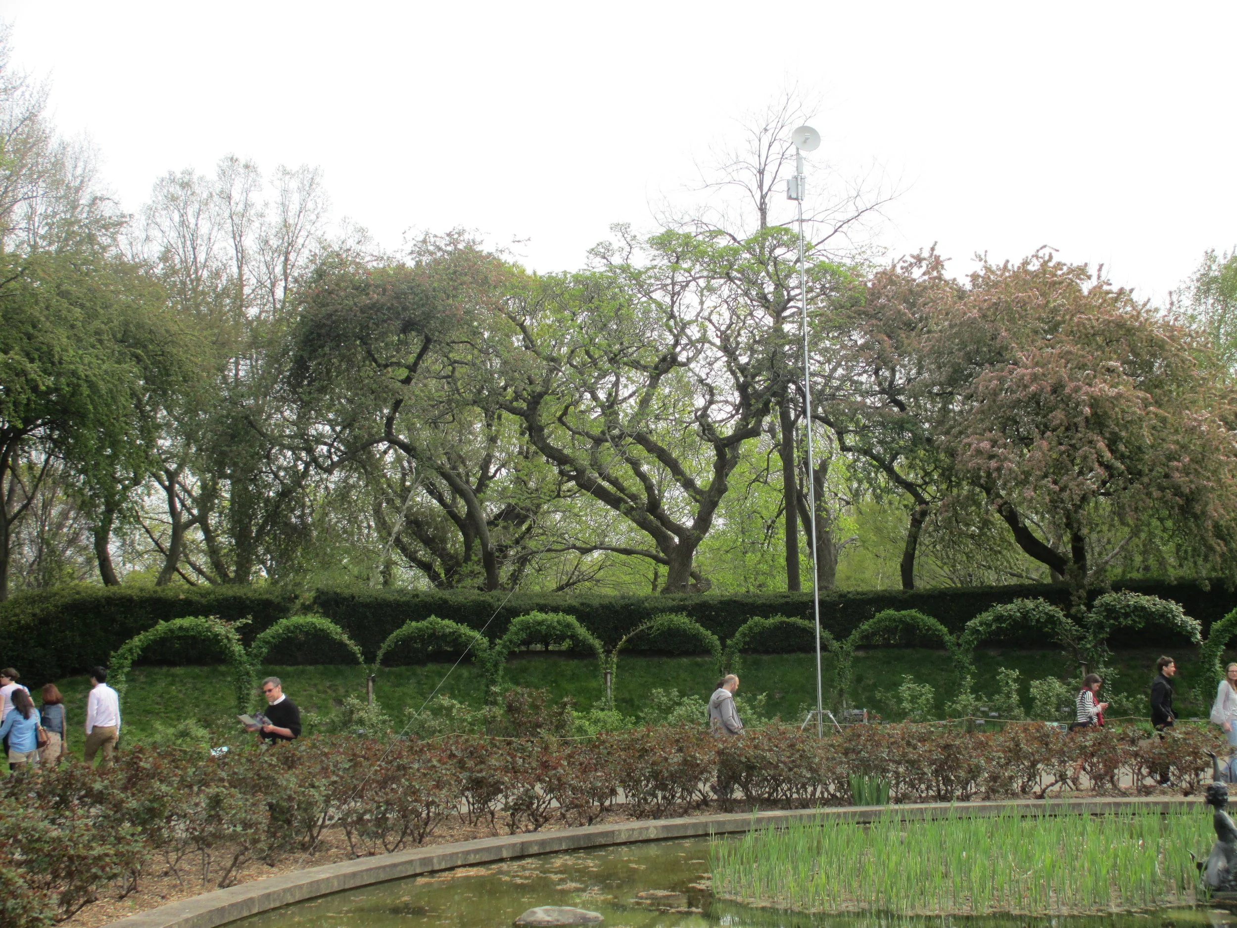 Brooklyn Botanical Garden