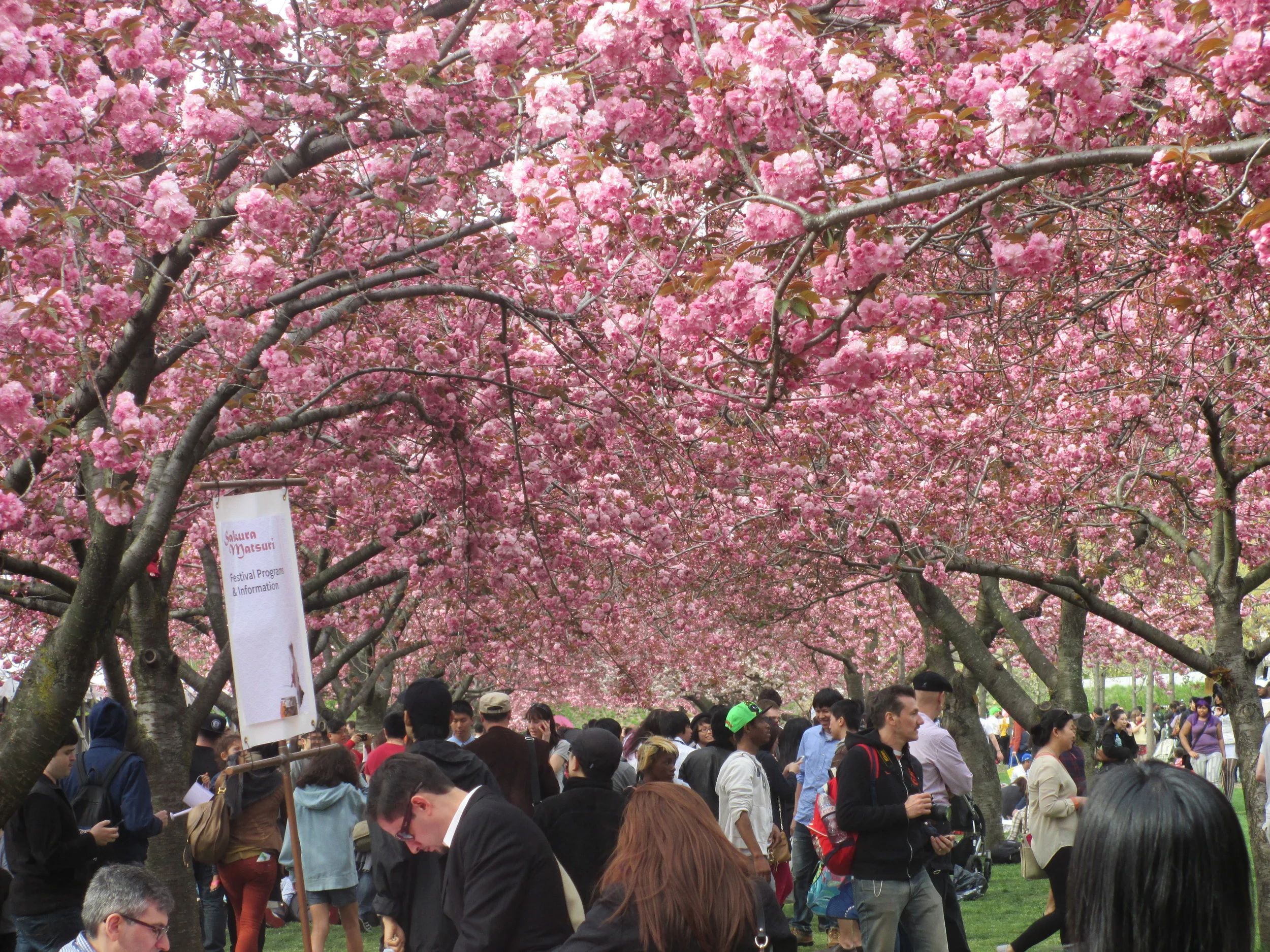 Brooklyn Botanical Garden
