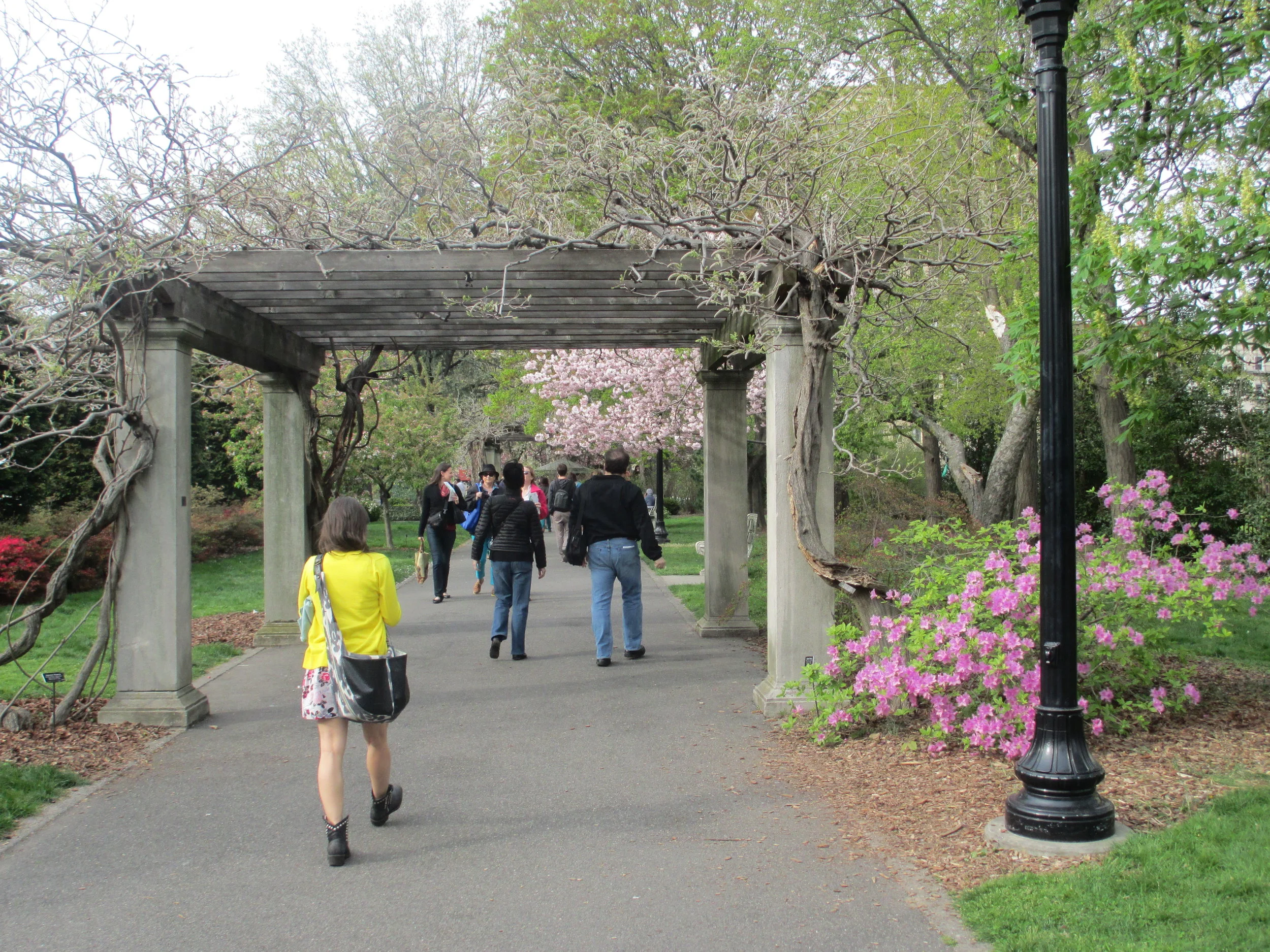 Brooklyn Botanical Garden