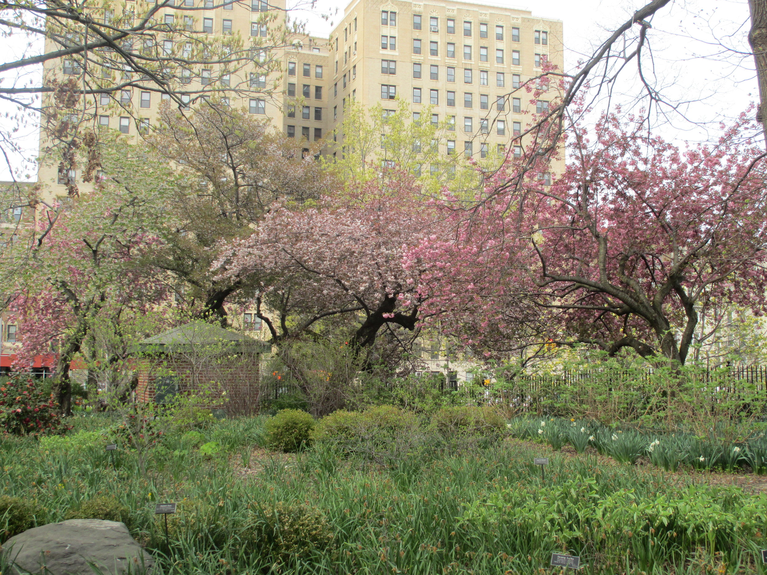 Brooklyn Botanical Garden