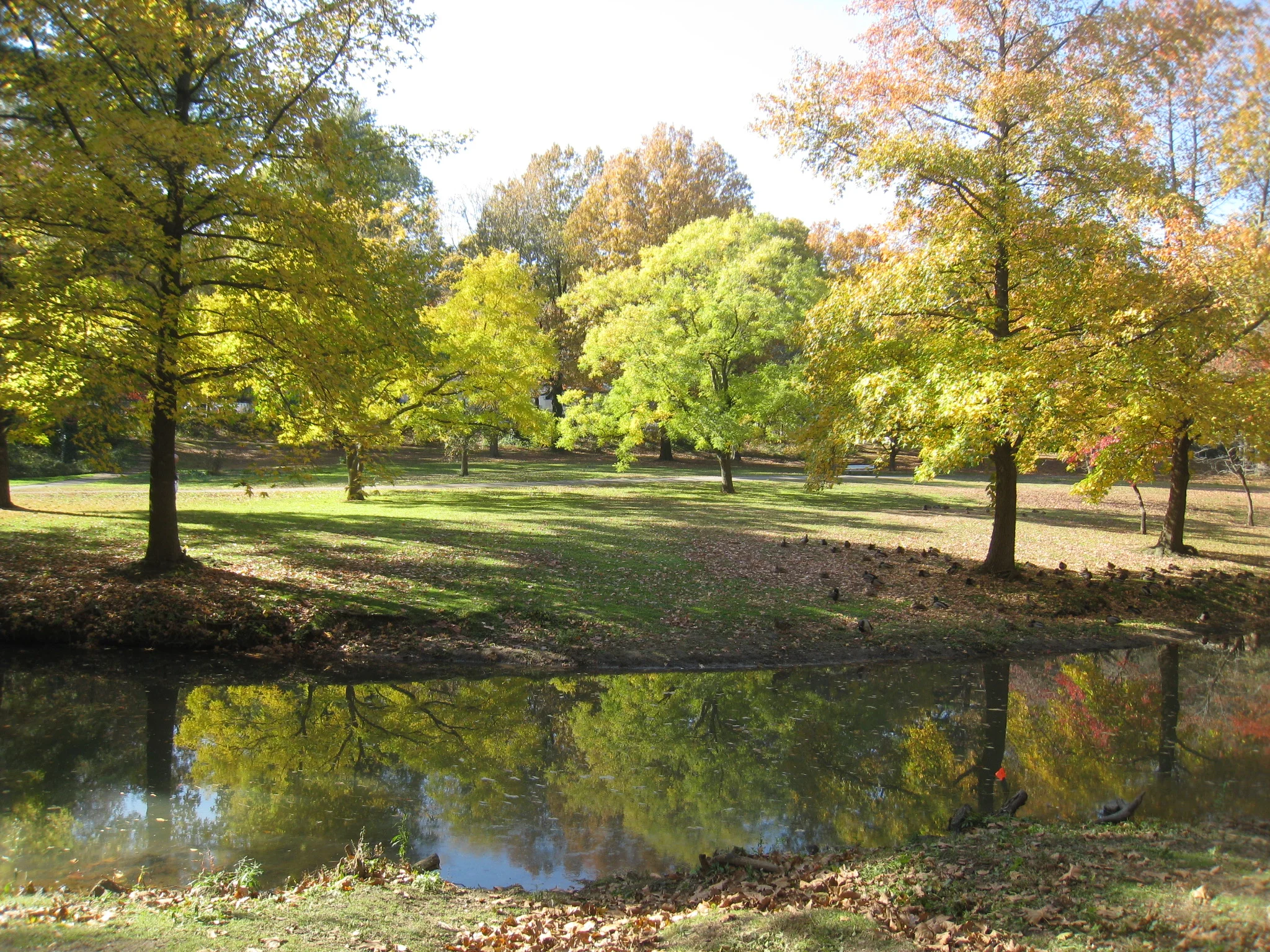Manhasset Valley Park