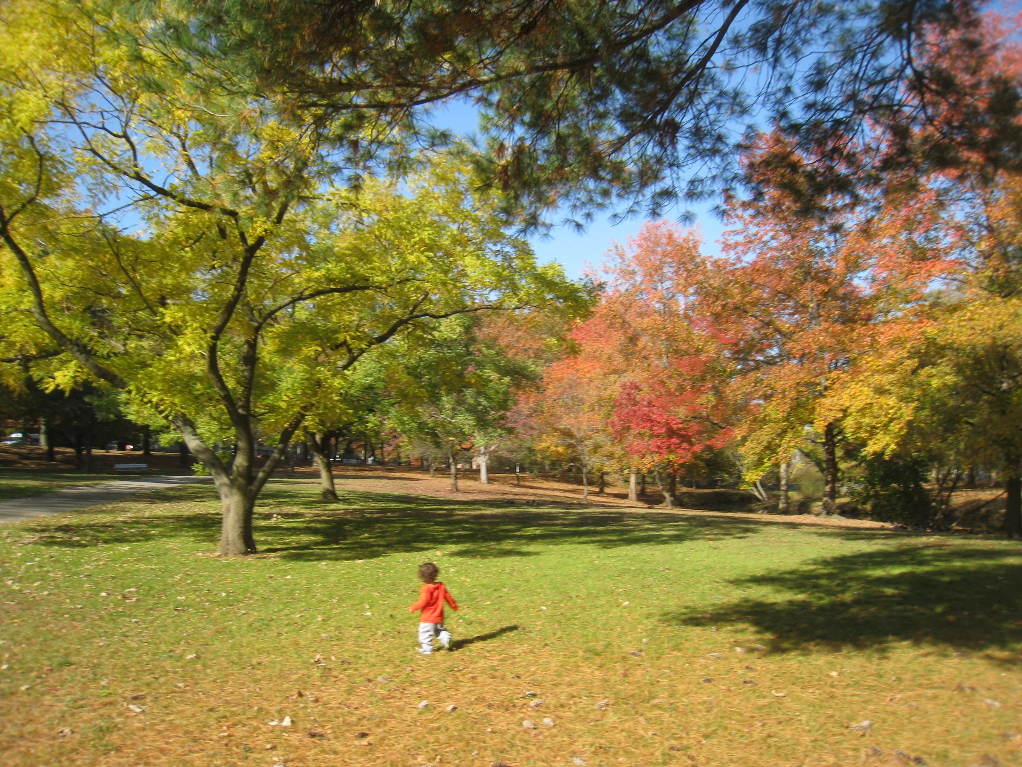 Manhasset Valley Park
