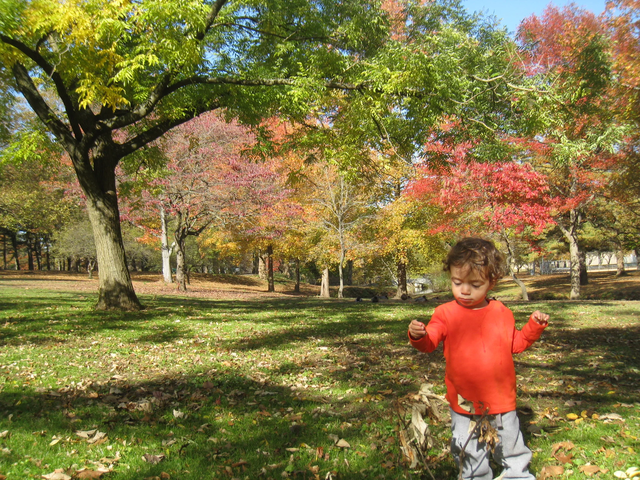 Manhasset Valley Park