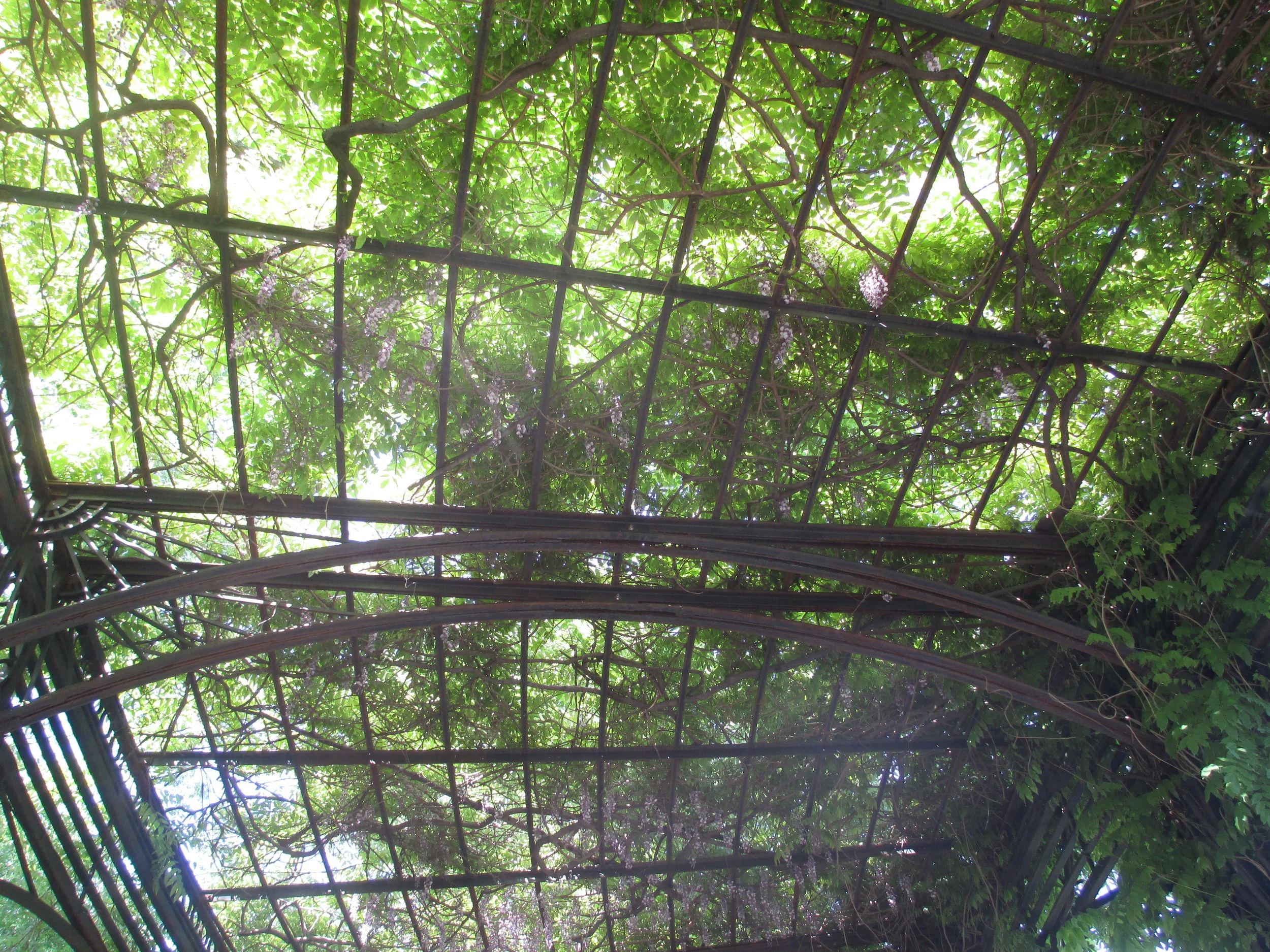 Central Park Conservatory