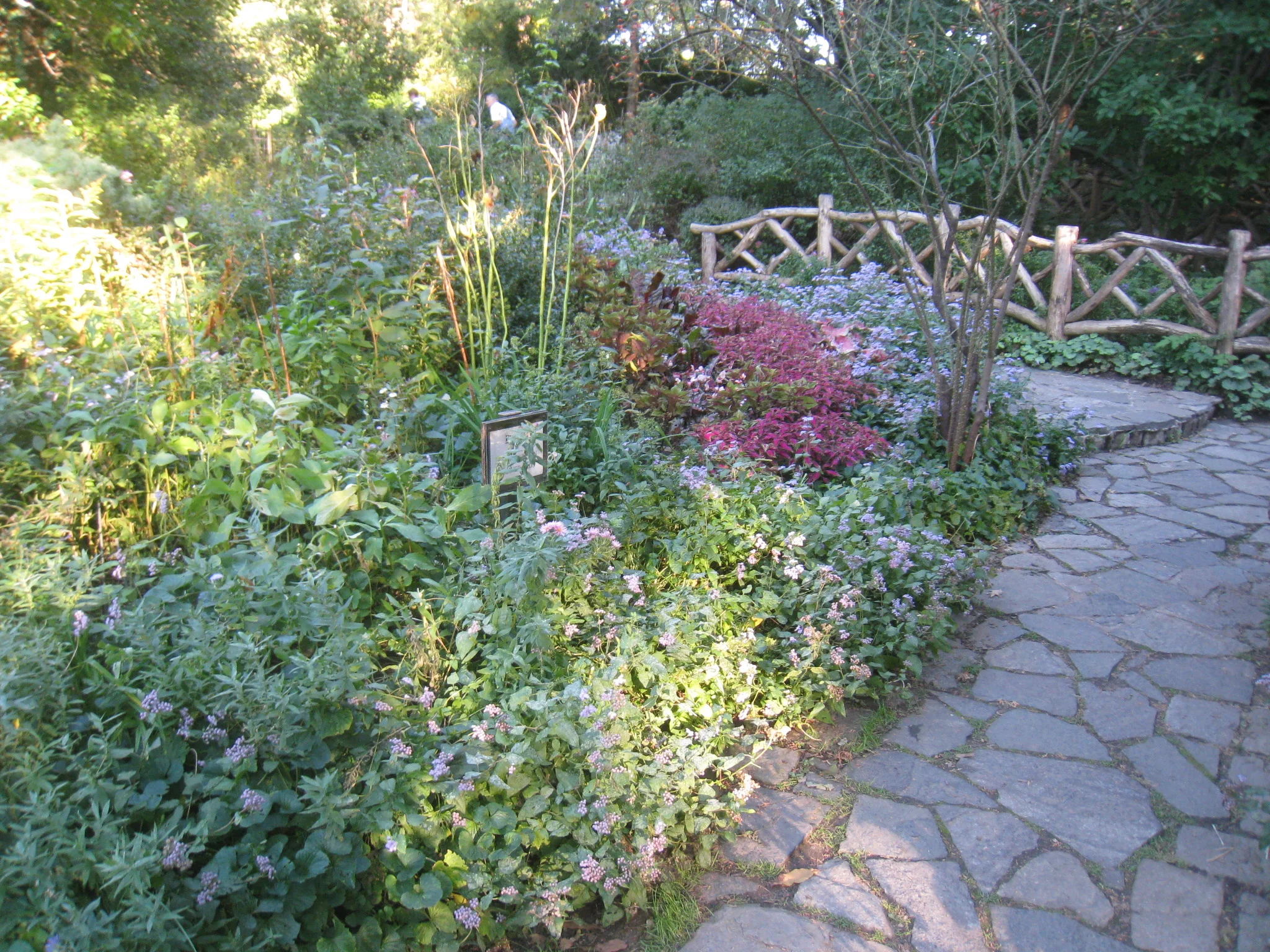 Central Park Shakespeare Garden