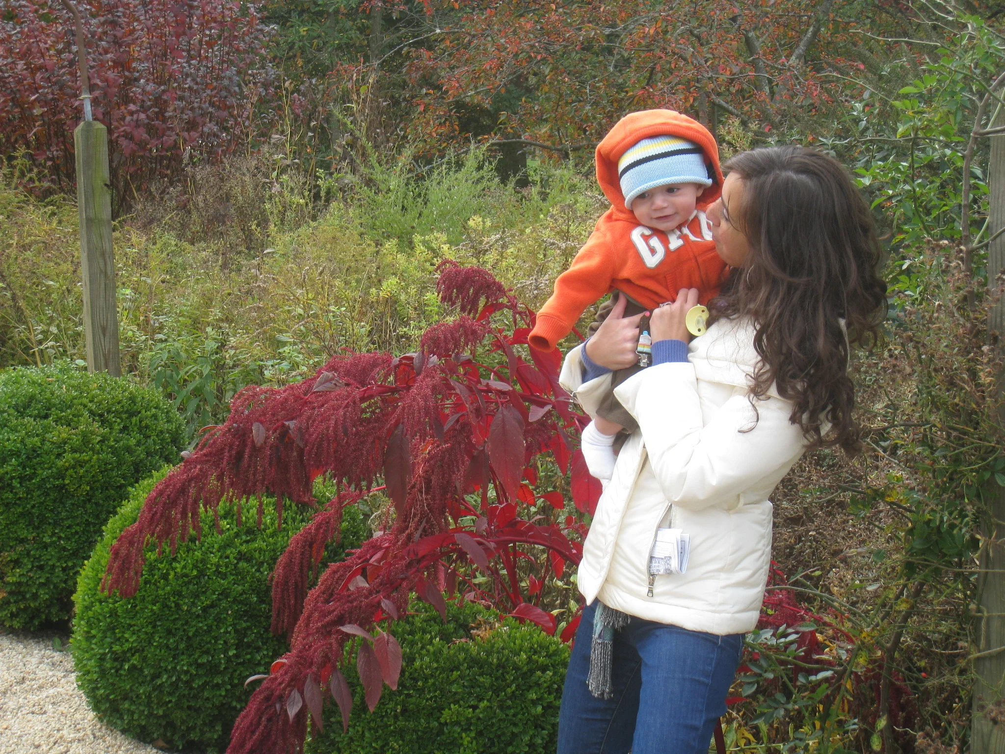 Planting Fields Arboretum