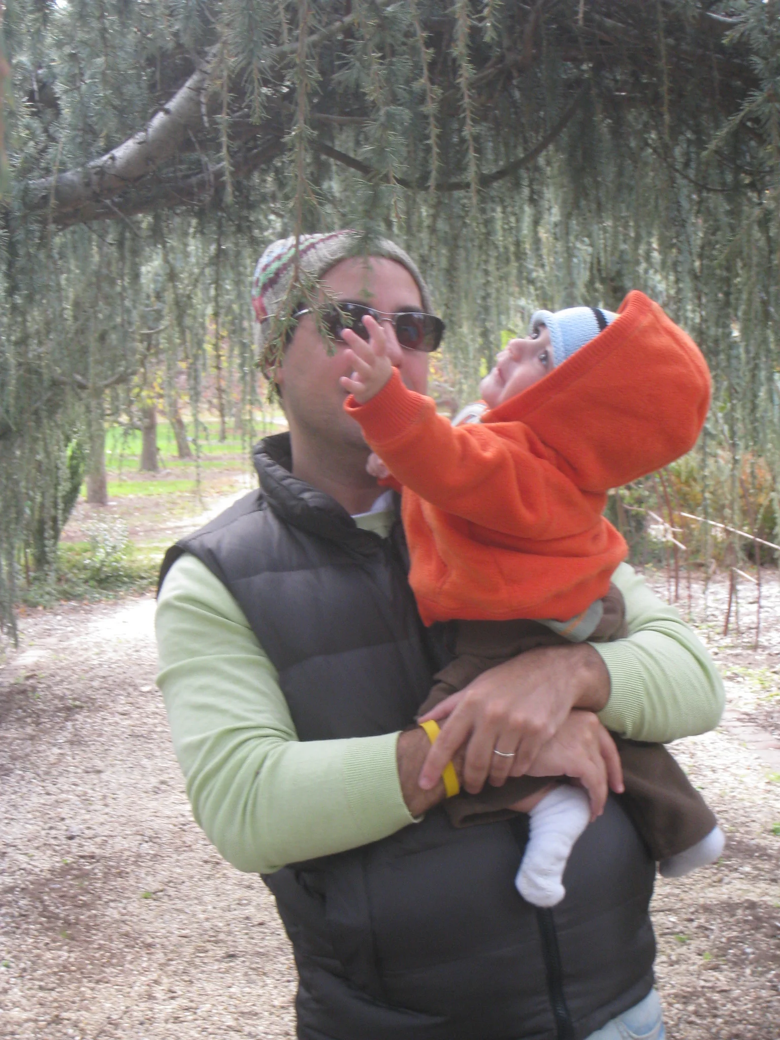 Planting Fields Arboretum