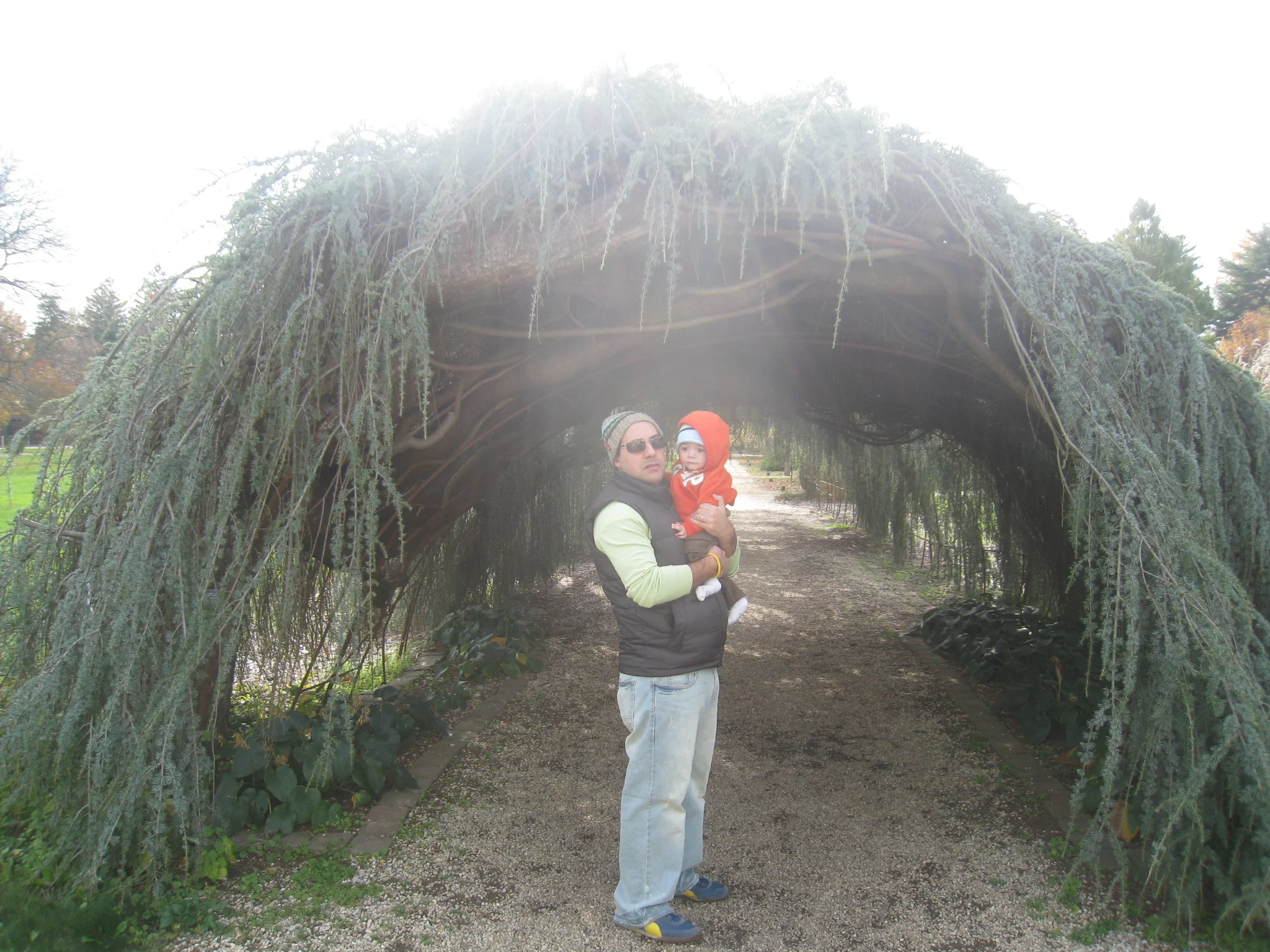 Planting Fields Arboretum