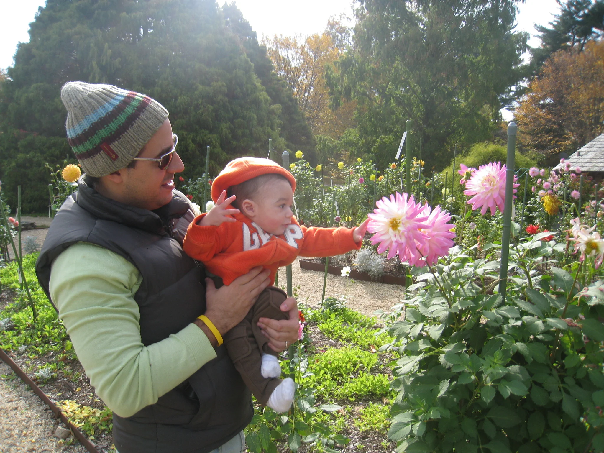 Planting Fields Arboretum