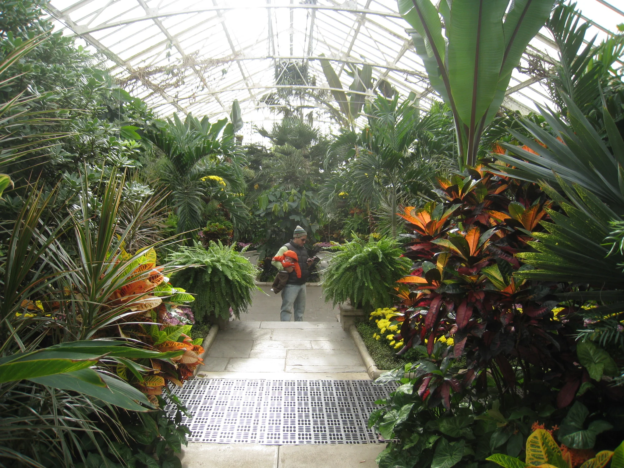 Planting Fields Arboretum