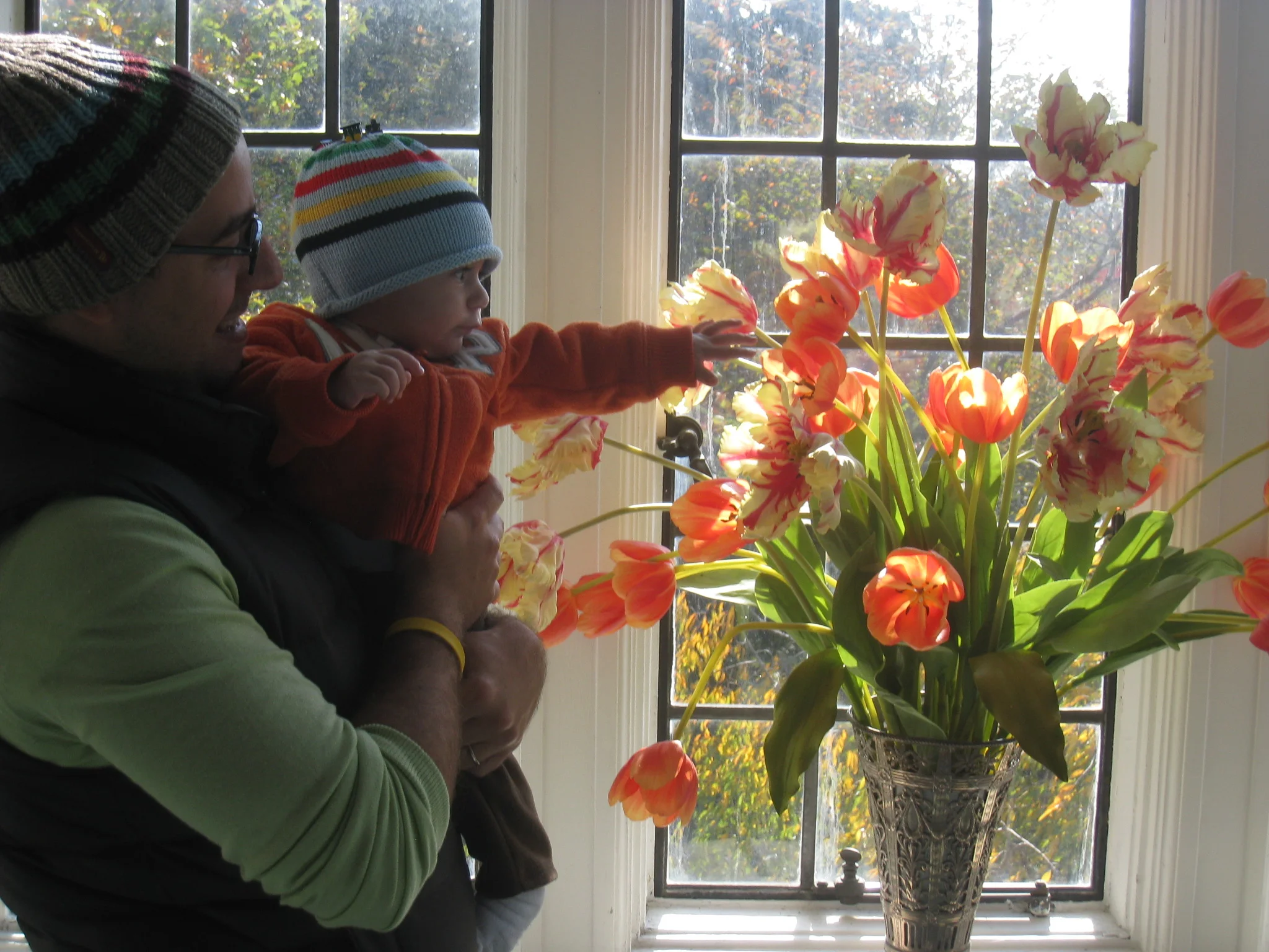 Planting Fields Arboretum