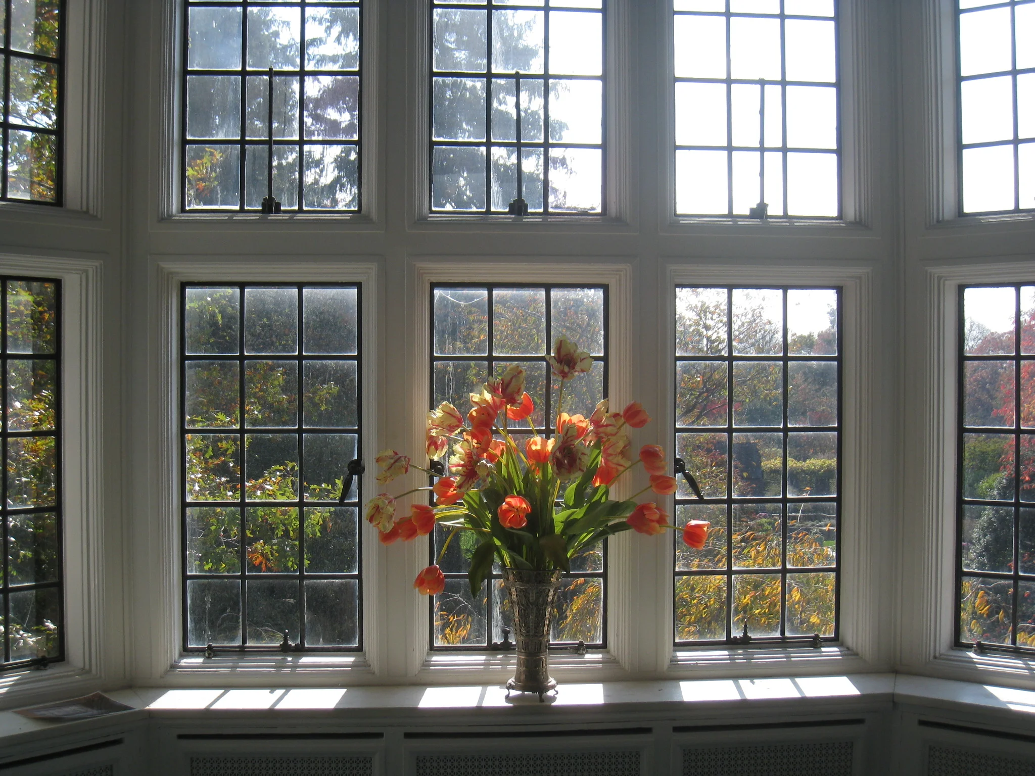 Planting Fields Arboretum
