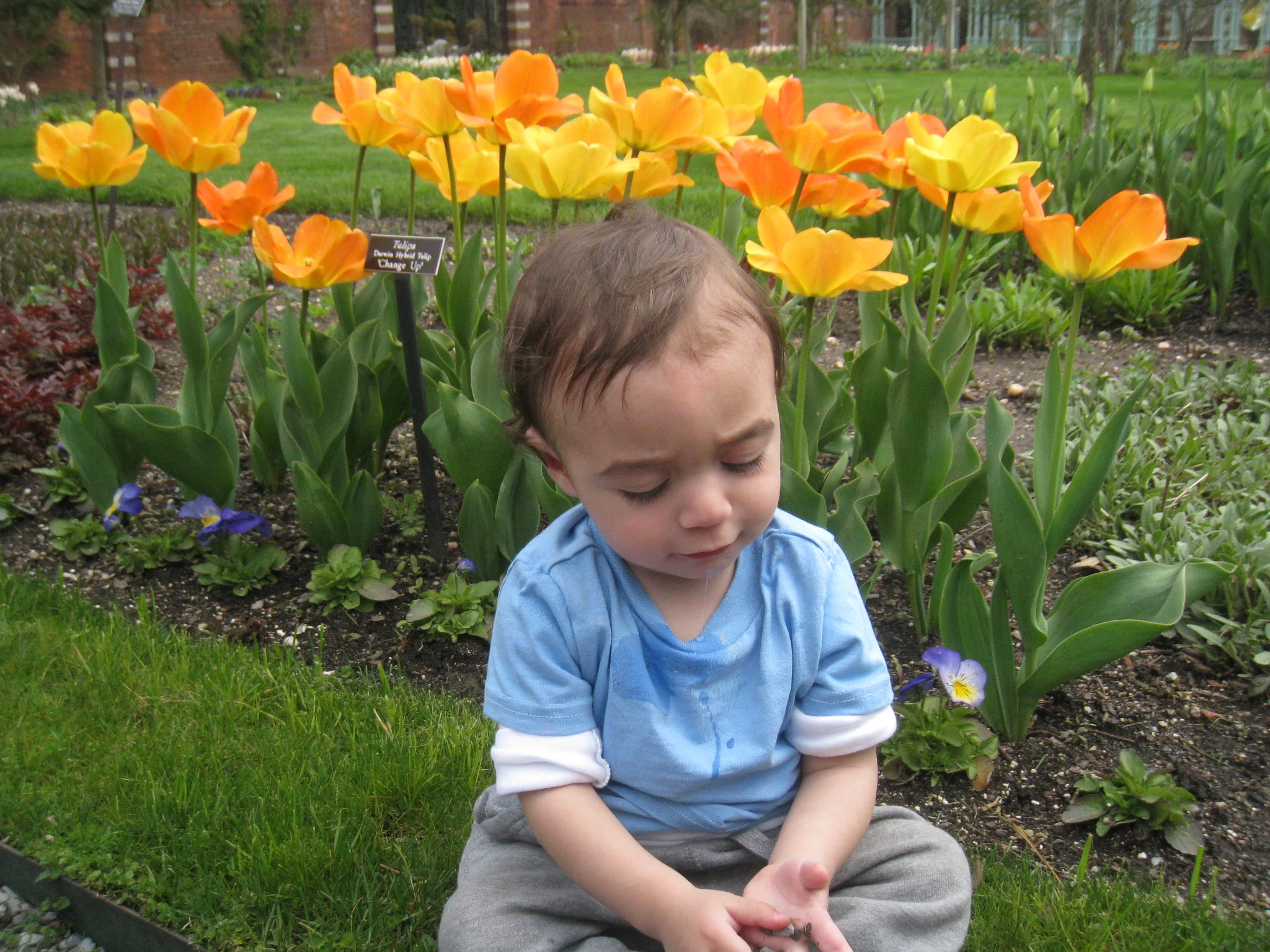 Old Westbury Gardens