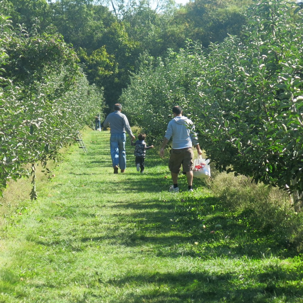 Wickham Family Farm