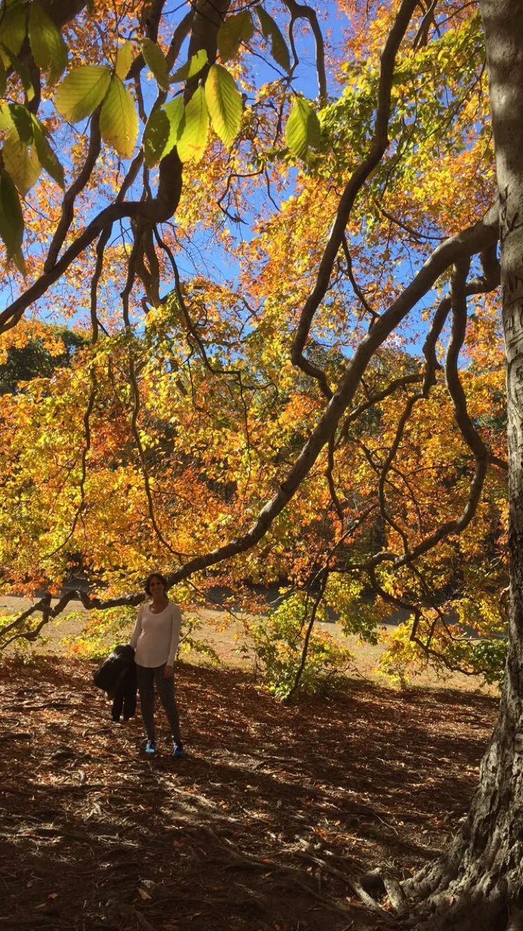 Caumsette State Park