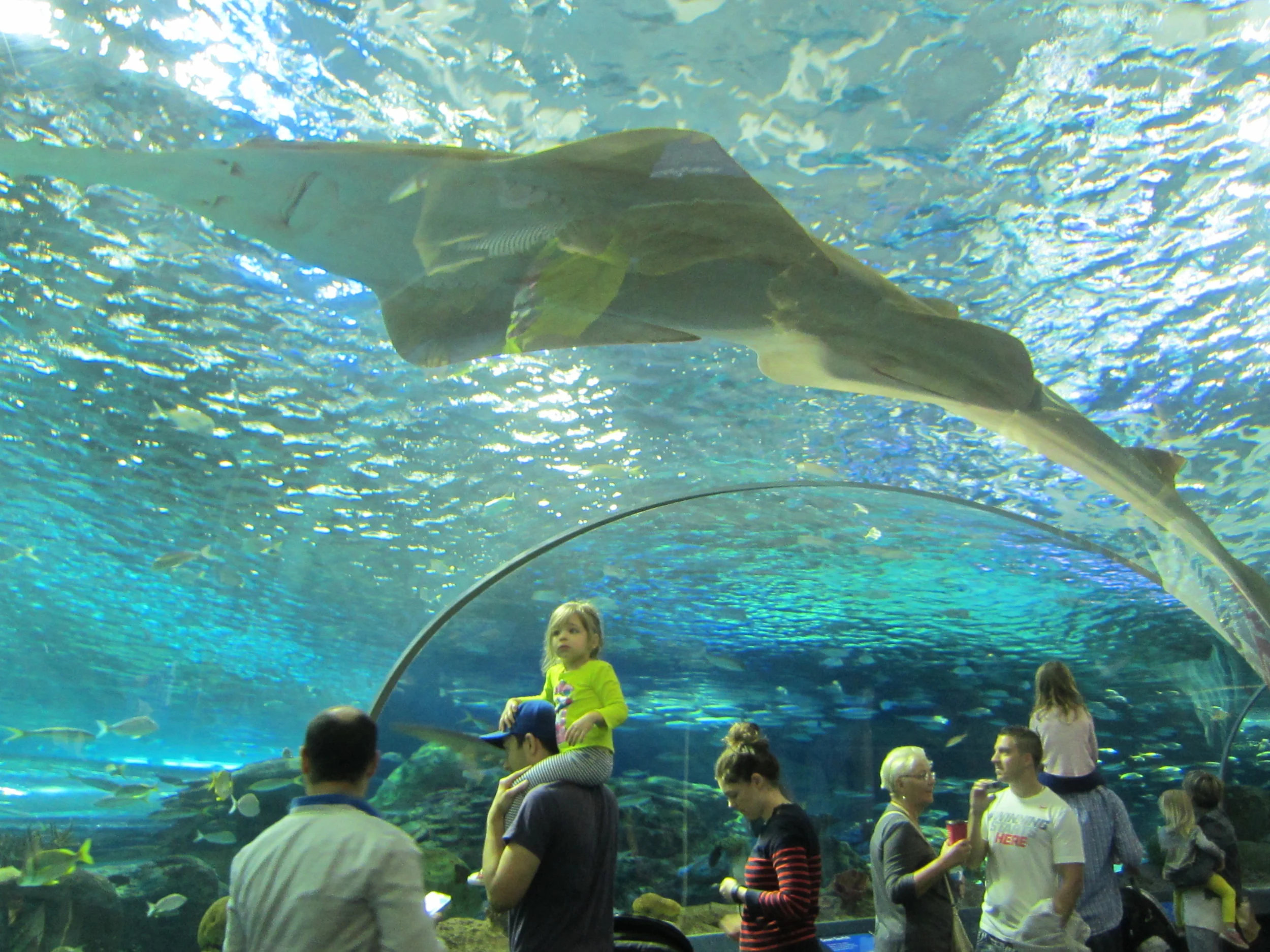 Toronto - Ripley's Aquarium of Canada