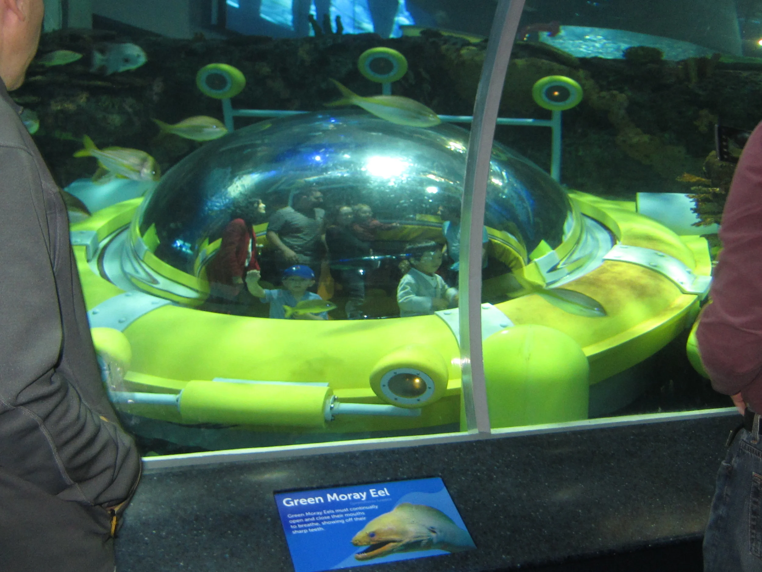 Toronto - Ripley's Aquarium of Canada