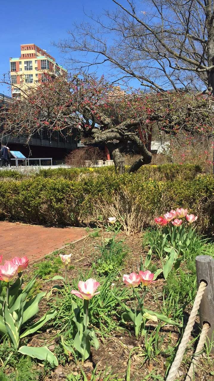 Queens Botanical Garden