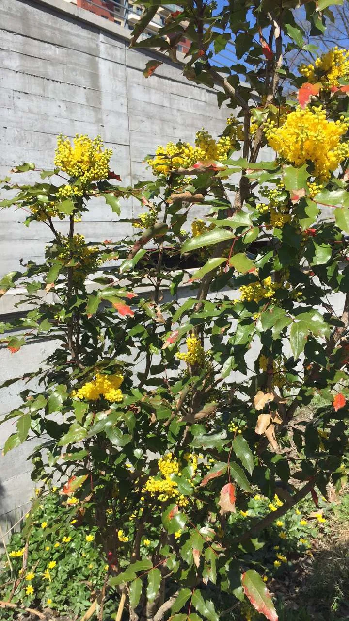 Queens Botanical Garden