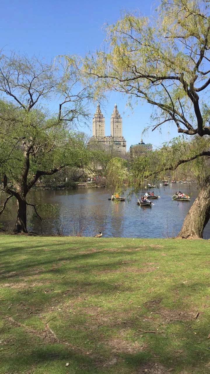 Central Park