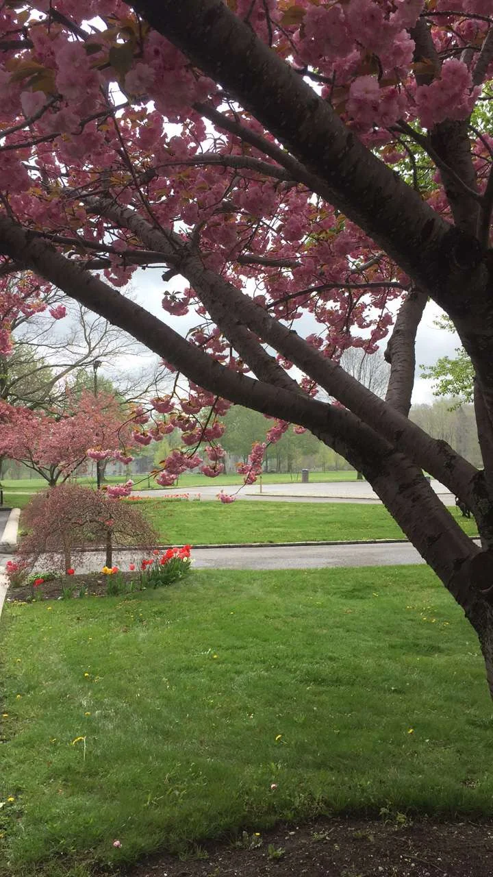 Sands Point Preserve - Hempstead House