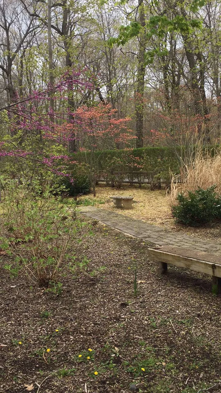 Sands Point Preserve