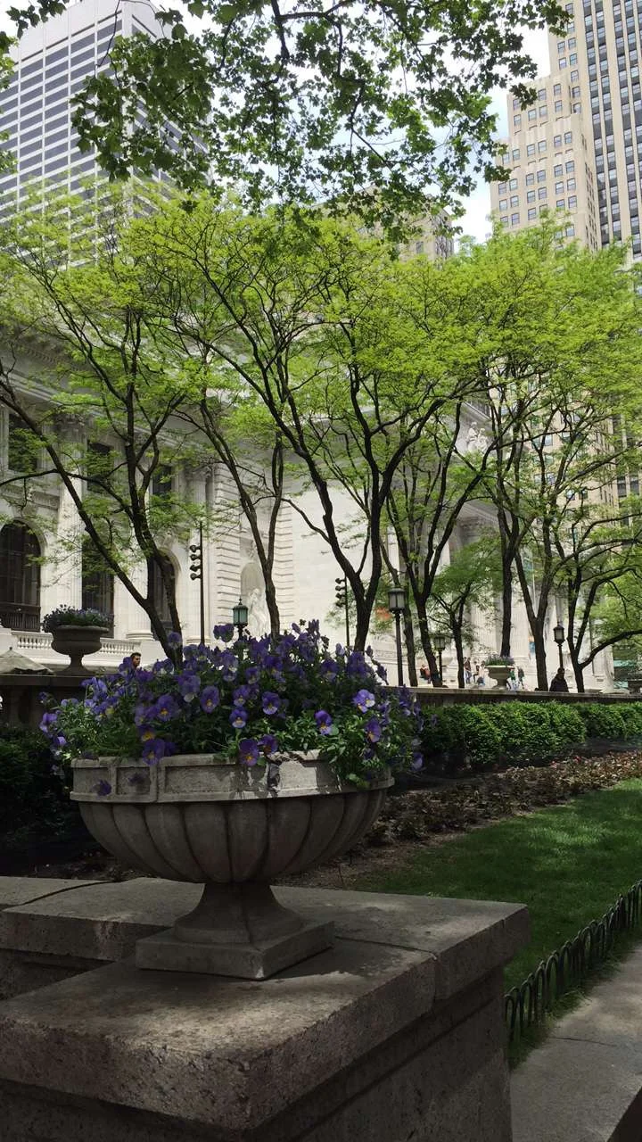 New York Public Library