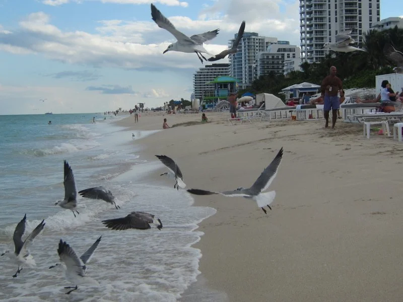 Fountainebleau Hotel