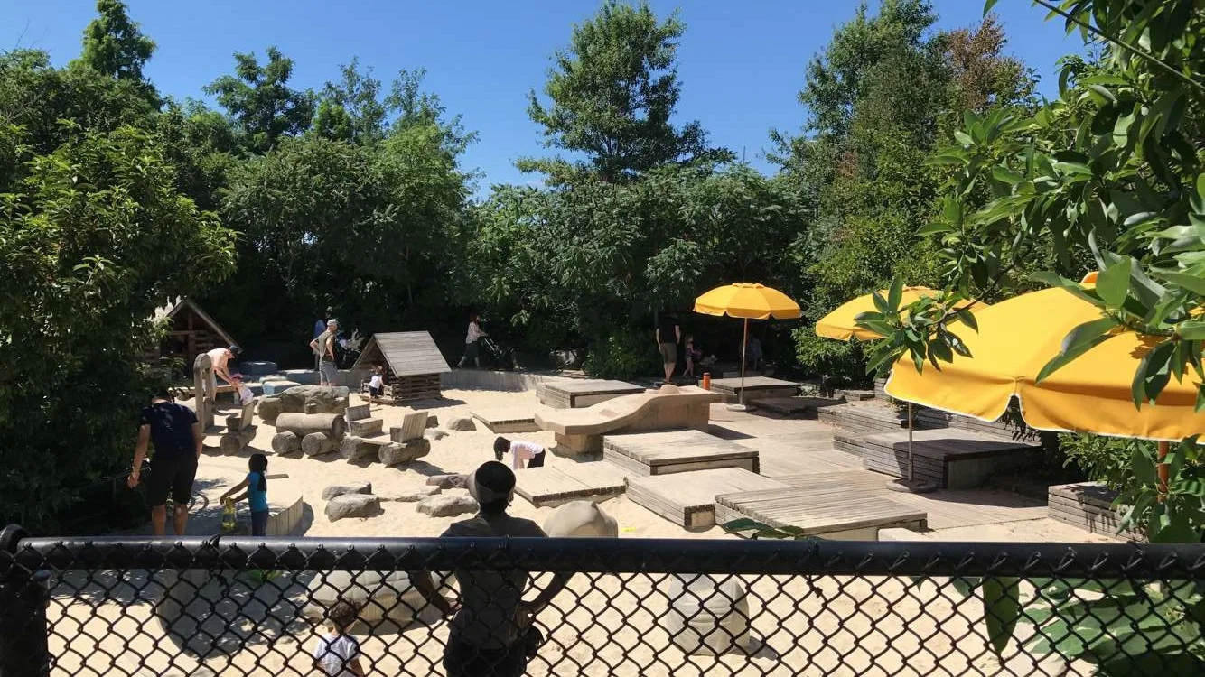 Brooklyn Bridge Park Pier 6