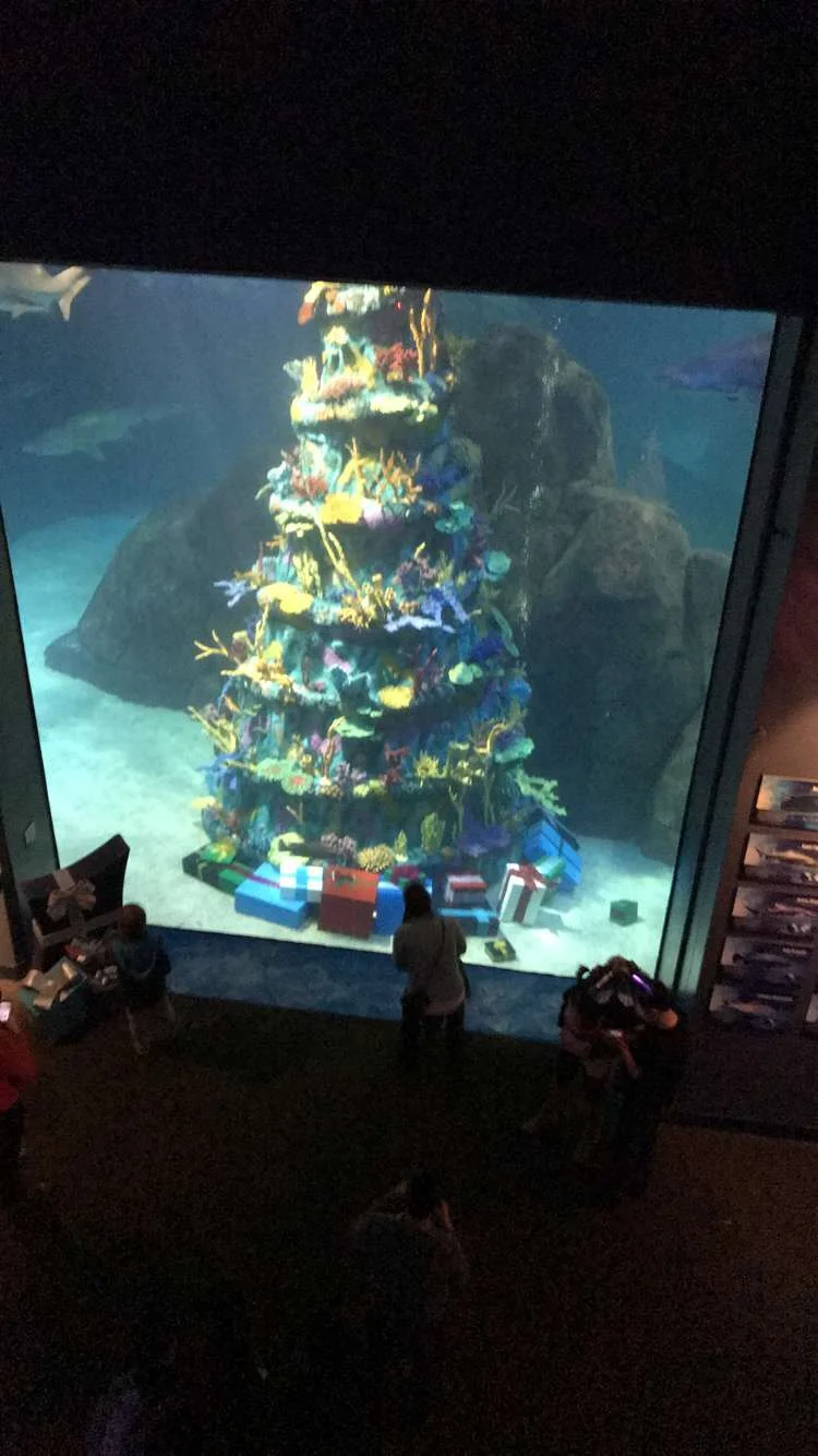Philadelphia - Camden Adventure Aquarium Underwater Christmas Tree