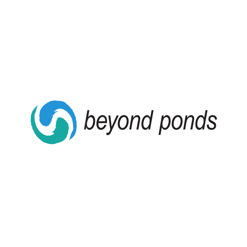 beyond_logo.png