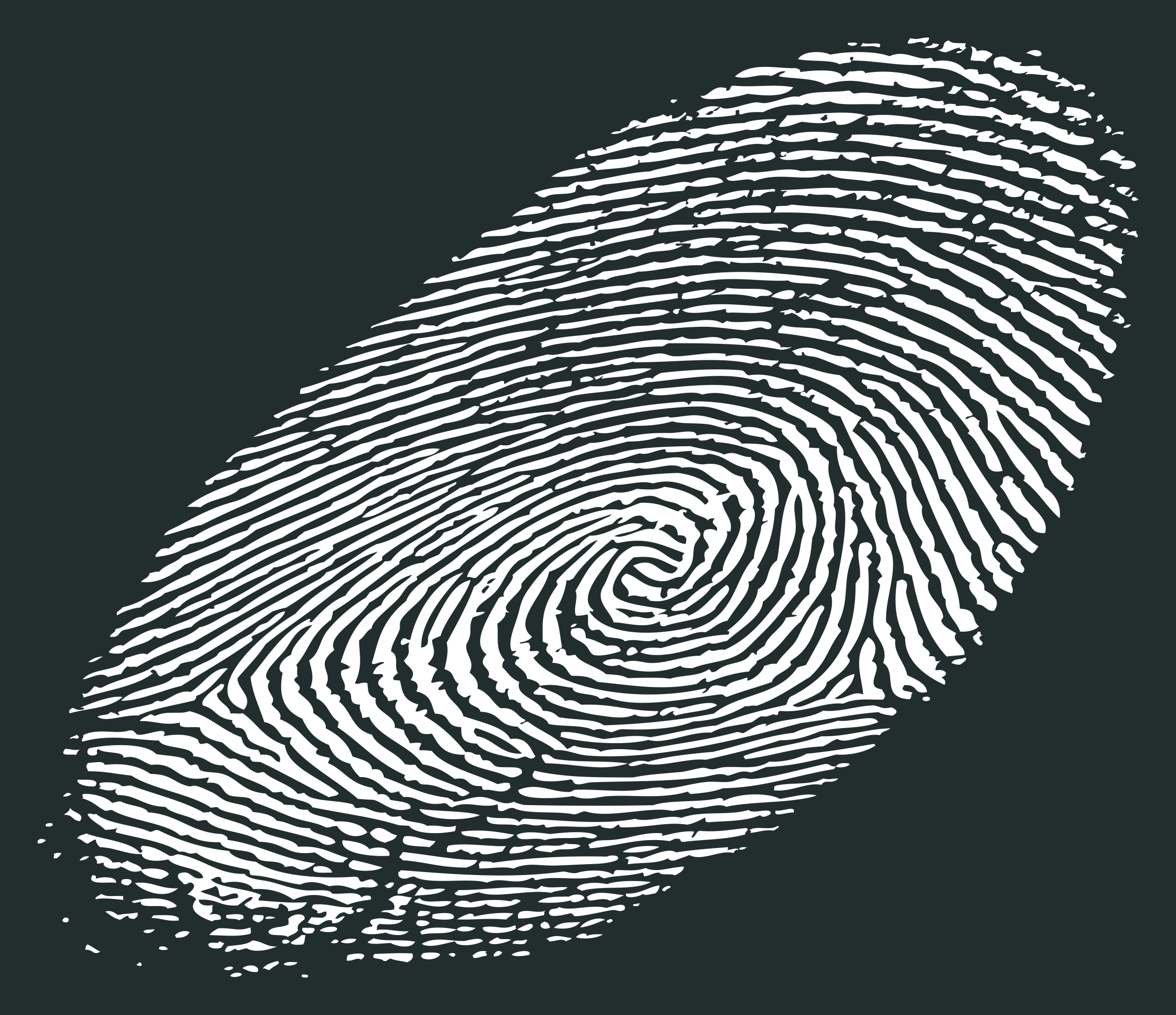 finger_print.png
