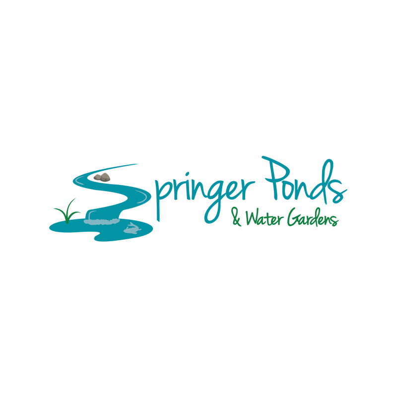springer_logo.png