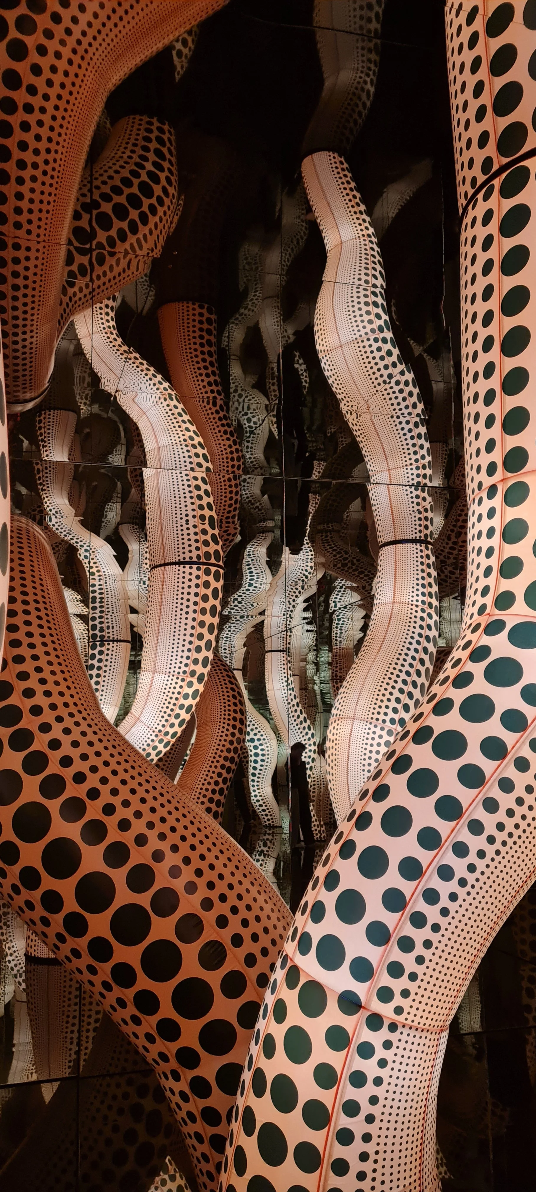 20261005_105054.jpg