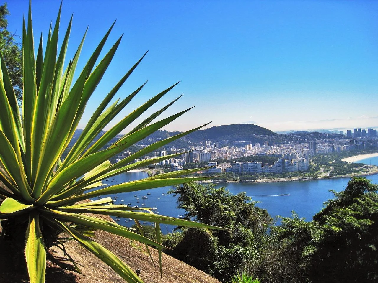 Architectural Rio - Private Tour.jpg