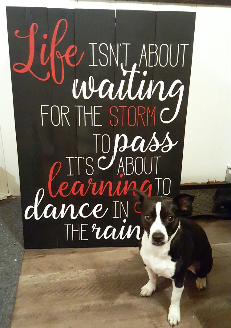 dance in the rain.jpeg