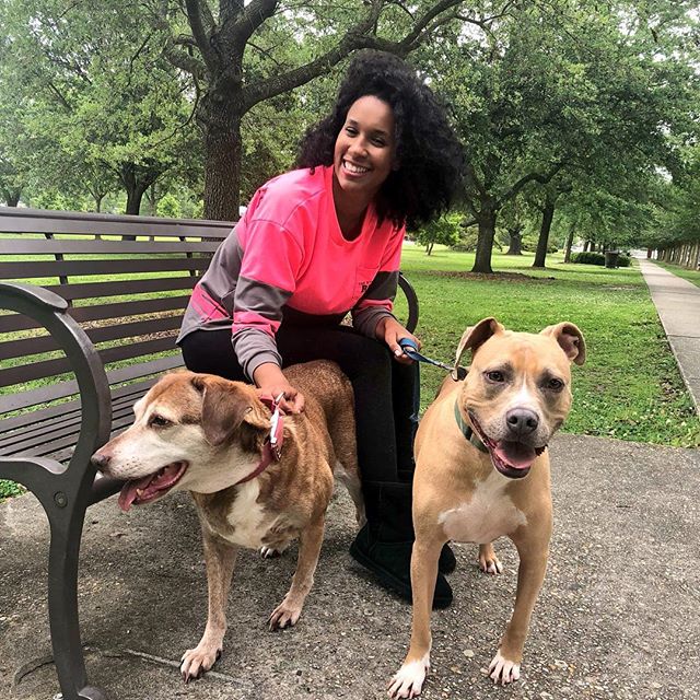 ‪nationalpetday and my babies are on TV today! Sam and Fifi 😍 Meet our Eyewitness Morning Pets during the 6:30 half hour on @WWLTV #channel4 ‬#bebeskids