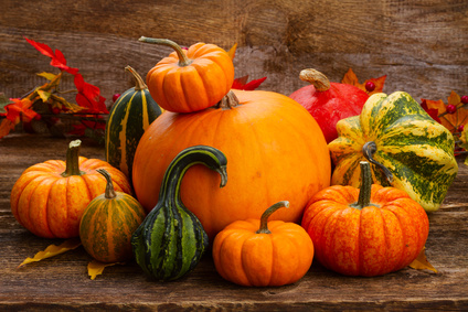Fotolia_120574017_XS.jpg