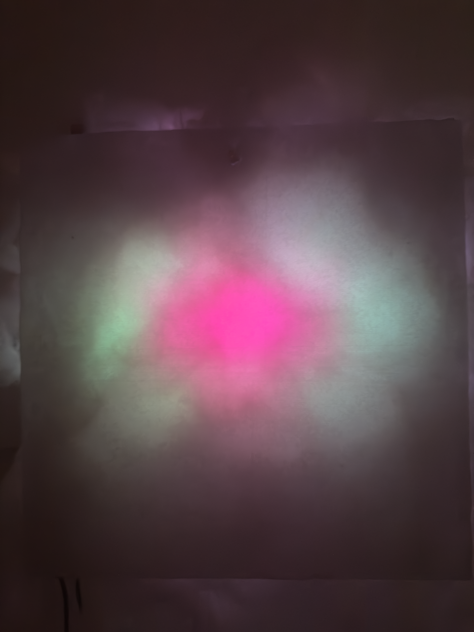 IMG_1848 Large.png