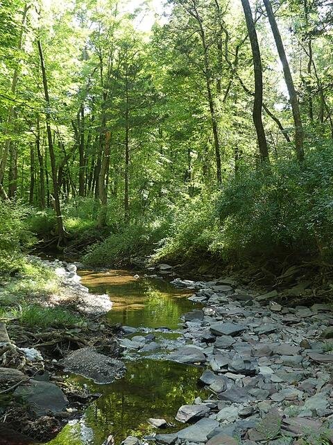 Hiking Trails